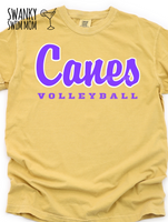 Canes volleyball 2